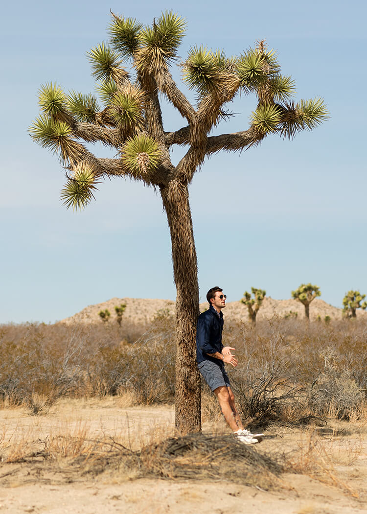 Joshua Tree Image 14