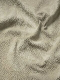  Fabric Thumbnail 2