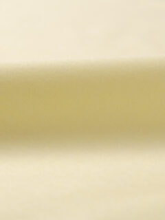  Fabric Thumbnail 1