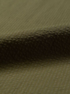  Fabric Thumbnail 1