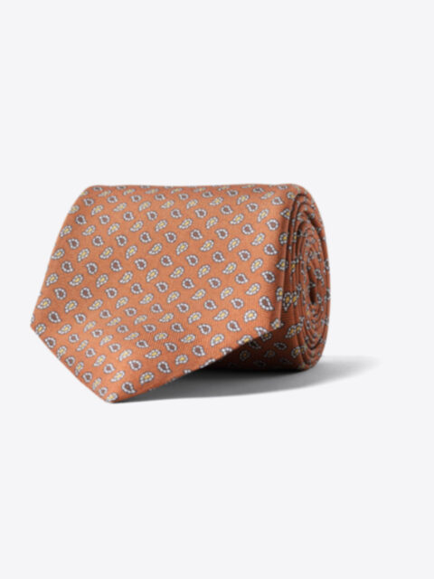 Suggested Item: Rust and Gold Micro Paisley Print Tie
