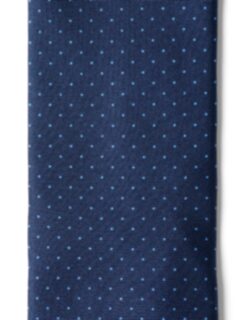 Navy and Light Blue Pindot Silk Tie Product Thumbnail 2