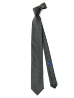 Green and Blue Small Paisley Print Tie Product Thumbnail 2