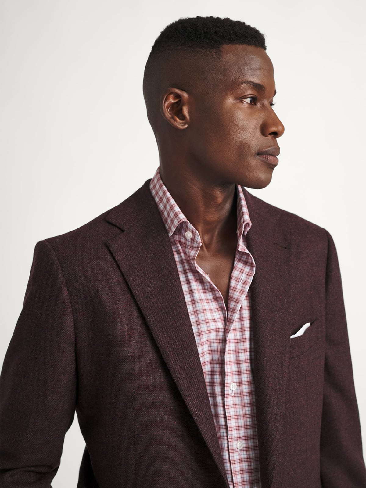 Tollegno Merlot Hopsack Italian Wool and Cashmere Flannel Bedford