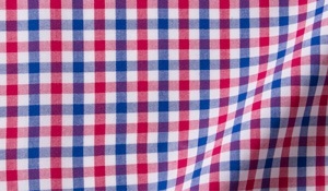 Shop Red and Blue Gingham