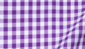 Shop Medium Purple Gingham