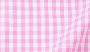 Shop Medium Pink Gingham