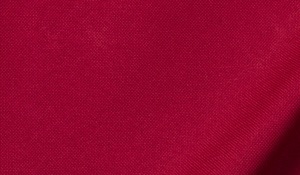 Shop Crimson Red Heavy Oxford Cloth