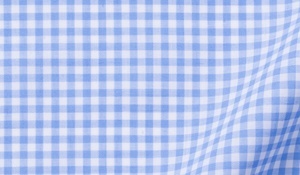 Shop Blue Cotton Linen Gingham