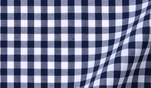 The Seabrook Gingham Button Down in Light Blue The Seabrook Gingham Button Down in Light Blue