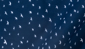 Shop Dark Blue Sparrow Print