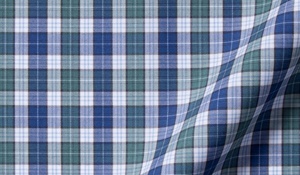 Shop Vincent Sage and Indigo Plaid