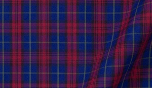 Shop Vincent Blue and Scarlet Plaid