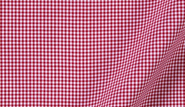 Shop Vestry Red Mini Gingham