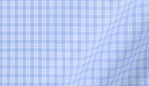 Fabric swatch of Chambers Blue Check Fabric