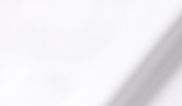 Shop Thomas Mason White 3-Ply Regal Twill