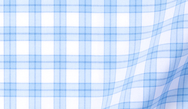 Shop Carson Light Blue Border Check