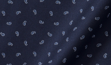 Shop Midnight Mini Paisley Print