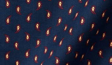 Shop Navy Scarlet and Yellow Paisley Print