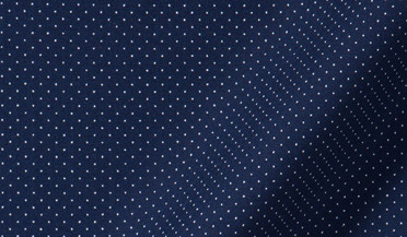 Shop Navy and White Pindot Print