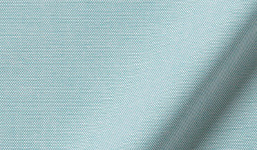 Shop Whitman Mint Oxford