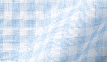 Shop Light Blue Gingham Linen