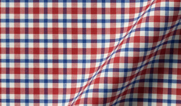 Melrose Red and Blue Multi Check Fabric Sample