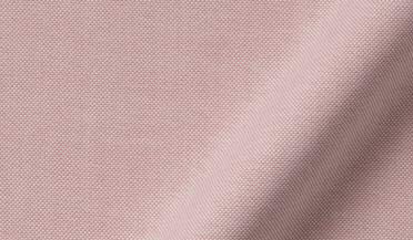 Shop American Pima Rose Oxford Cloth