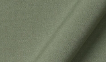 Shop Troy Laurel Washed Poplin