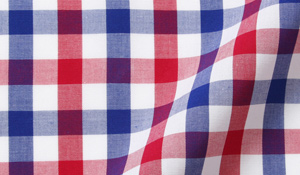 Shop Red and Blue Large Gingham