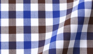 Shop Blue and Brown Large Gingham