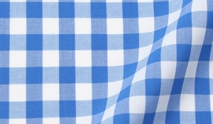 Shop Light Blue Large Gingham